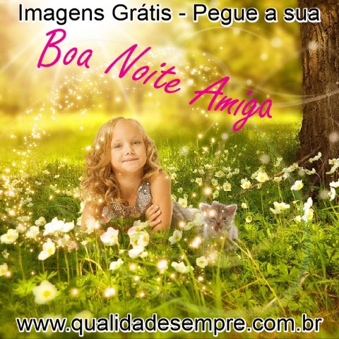 Imagens Grátis - Boa Noite Amiga - www.qualidadesempre.com.br