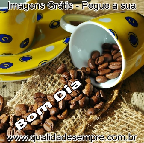 Imagens Grátis - Bom Dia Amiga - www.qualidadesempre.com.br