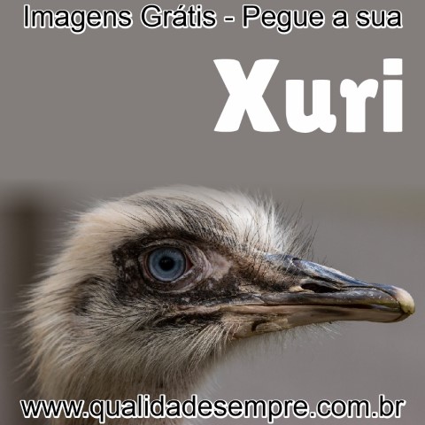 Imagens Grátis - Animais com a Letra "X" - Xuri - www.qualidadesempre.com.br