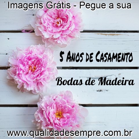 Imagens Grátis - Bodas de Madeira - 5 Anos de Casamento - www.qualidadesempre.com.br