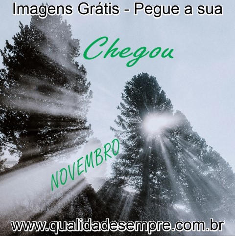 Imagens Grátis - Novembro - www.qualidadesempre.com.br