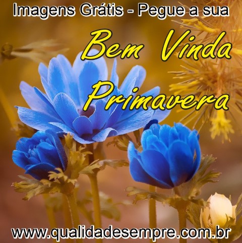 Imagens Grátis - Primavera - www.qualidadesempre.com.br