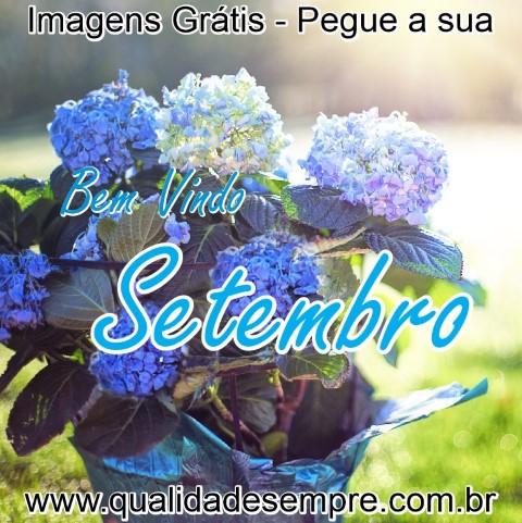 Imagens Grátis - Setembro - www.qualidadesempre.com.br